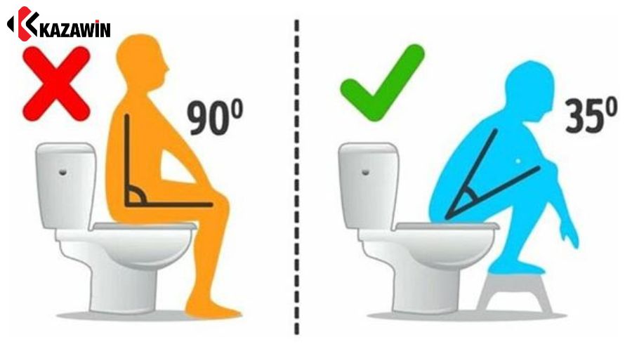 Hướng dẫn ngồi bồn cầu đúng cách theo chuẩn khoa học
