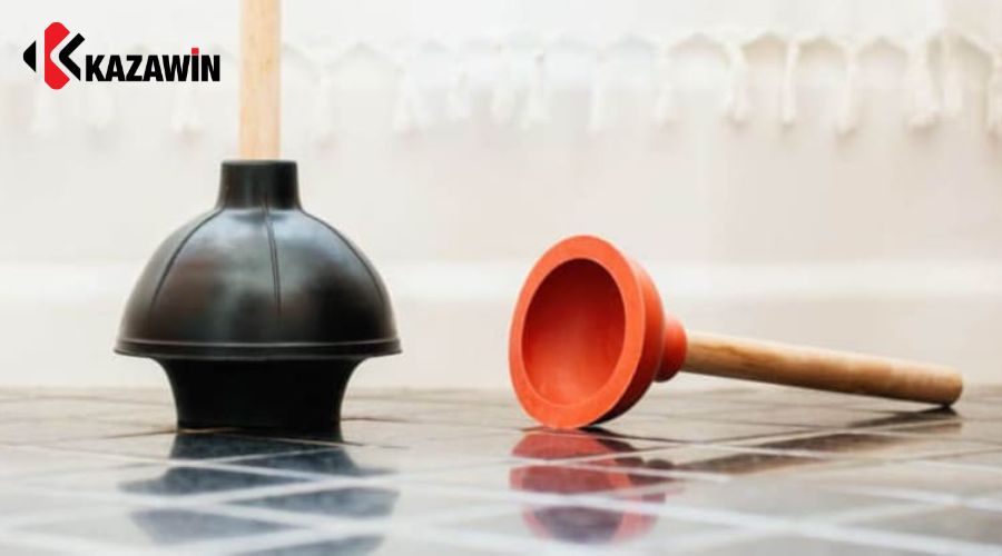 Phân loại và lựa chọn cây thông phù hợp
