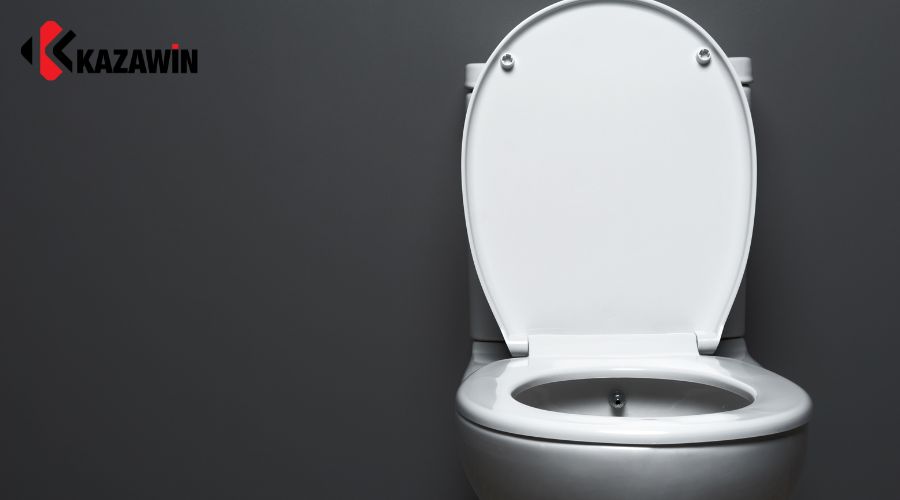 Yếu tố chính ảnh hưởng đến giá bồn cầu