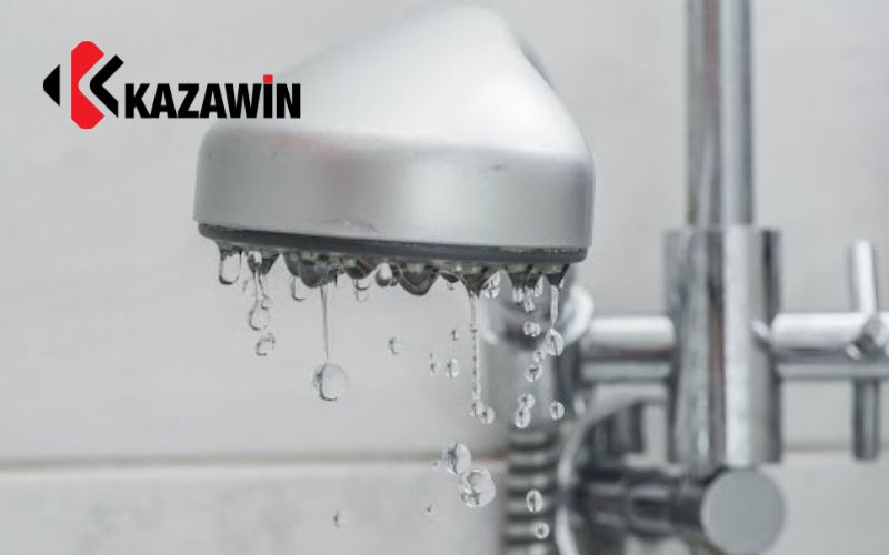 Sen tắm bị rỉ nước Sen tắm bị rỉ nước